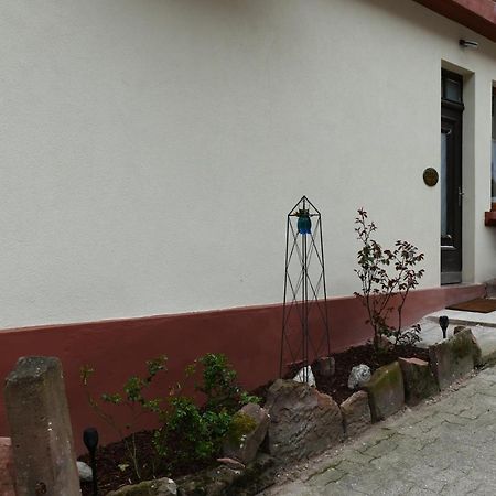 Le Gite Des Sources: Nature, Randonnees, Detente. Oberbronn Kültér fotó