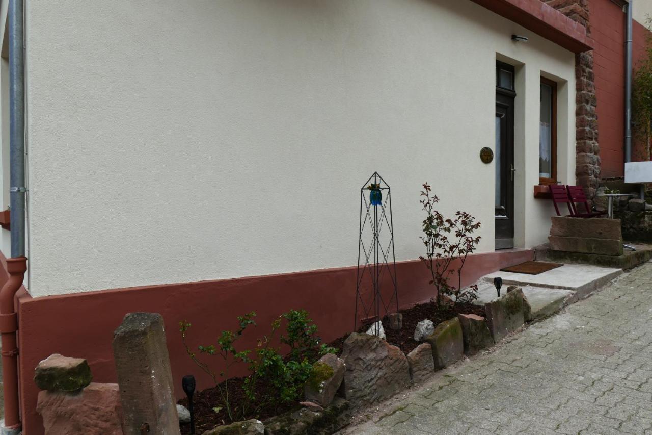 Le Gite Des Sources: Nature, Randonnees, Detente. Oberbronn Kültér fotó