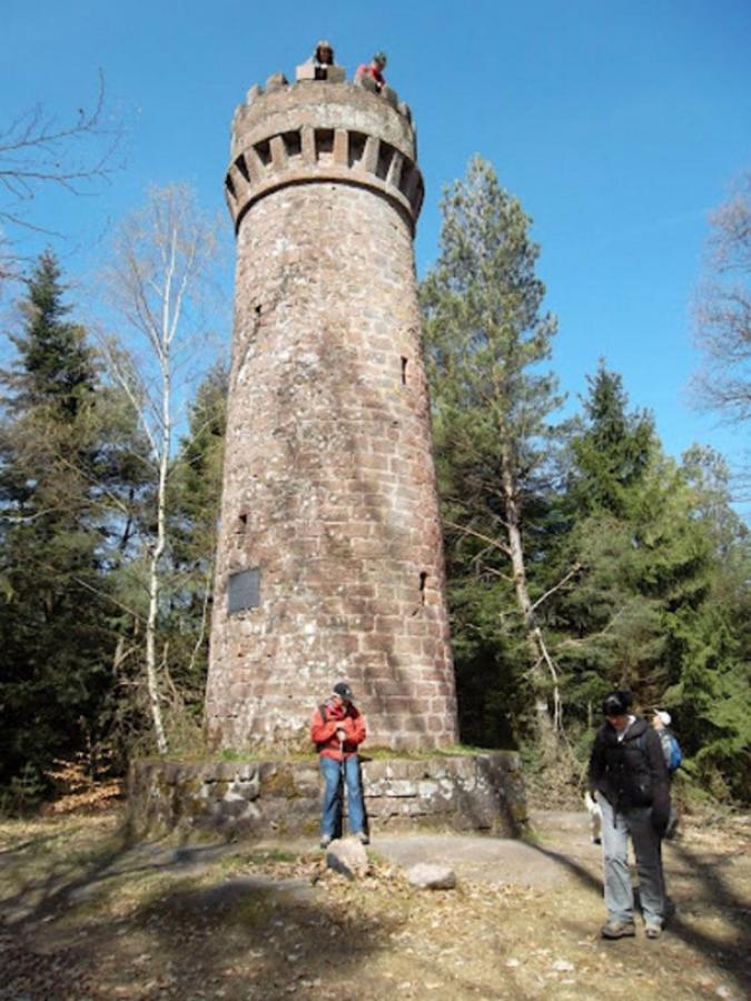 Le Gite Des Sources: Nature, Randonnees, Detente. Oberbronn Kültér fotó
